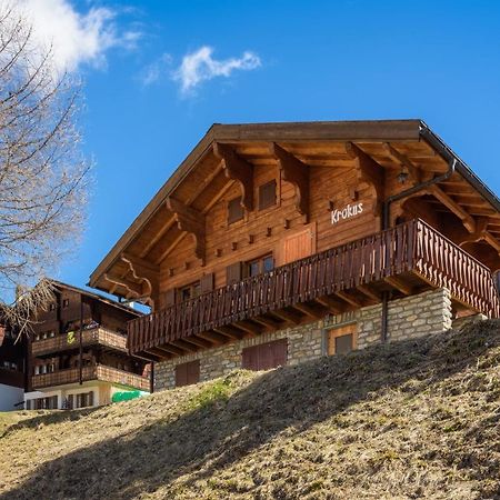 Chalet Krokus Riederalp Εξωτερικό φωτογραφία